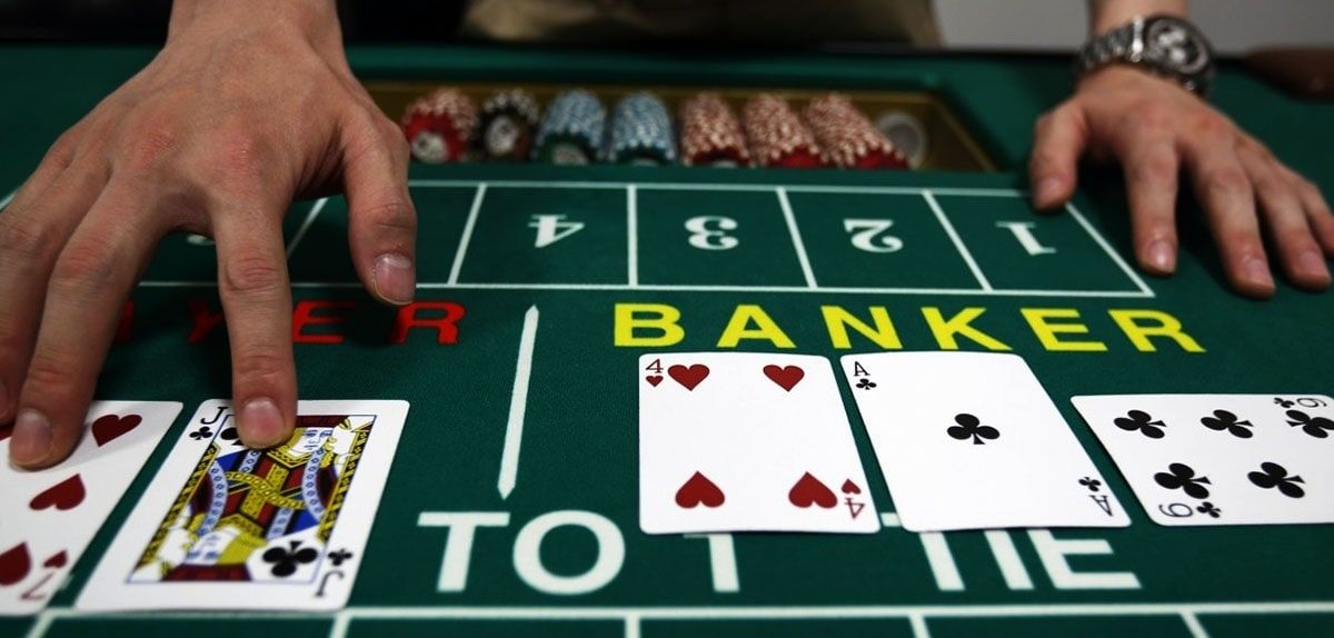 7bet Live Casino